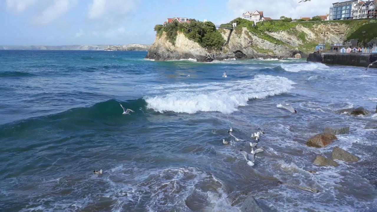 Blue Room Hostel Newquay New Quay Extérieur photo