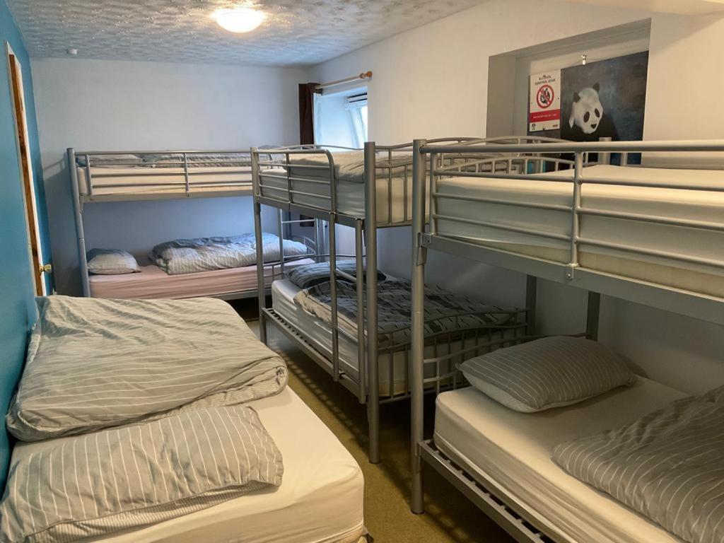 Blue Room Hostel Newquay New Quay Extérieur photo