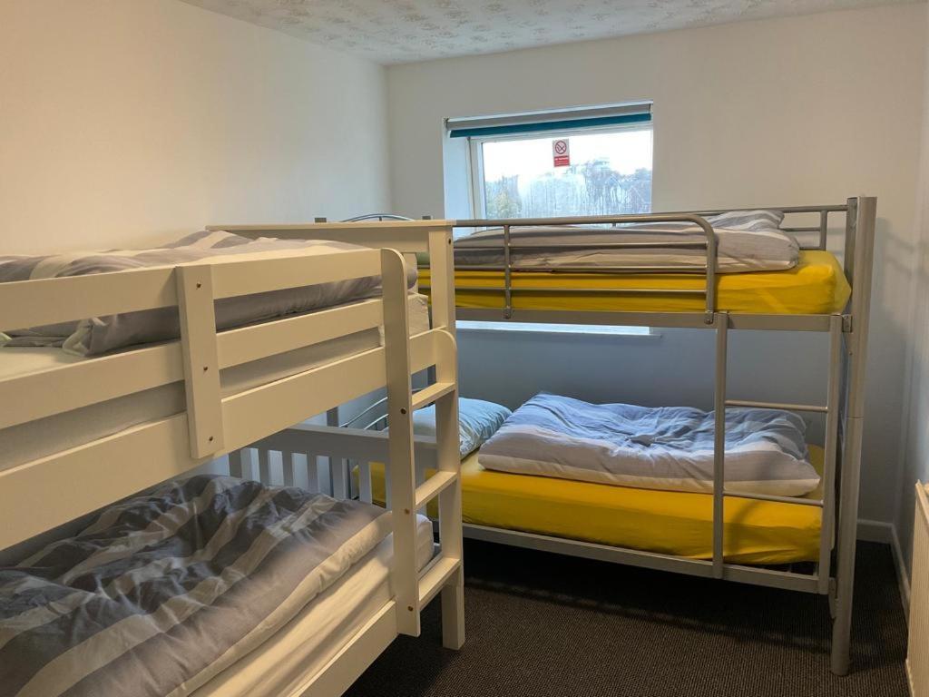 Blue Room Hostel Newquay New Quay Extérieur photo